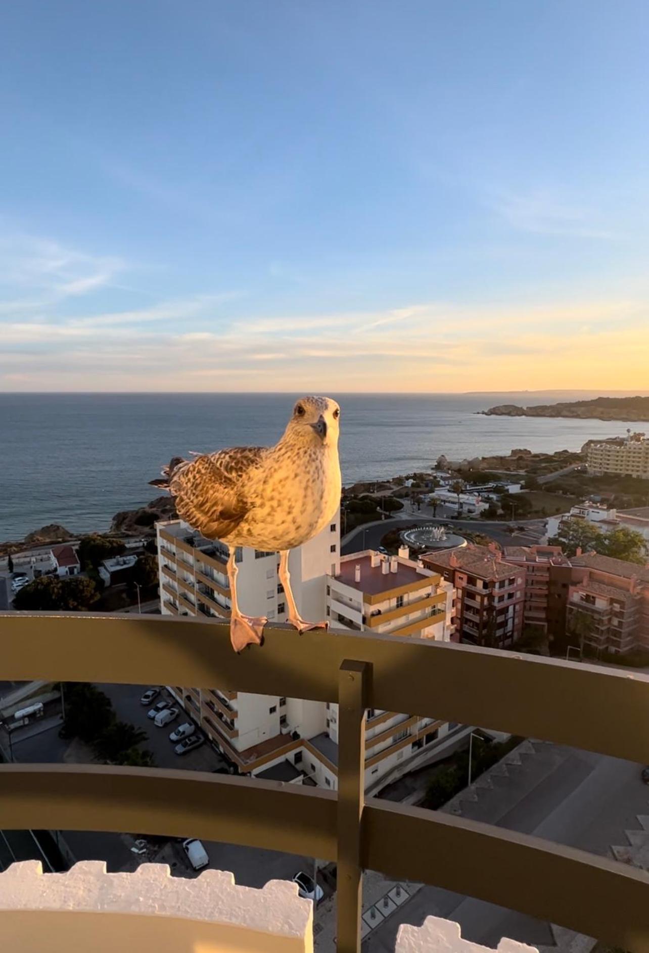 Top Ocean View Apartment - Amazing Sunset - Modern Style - Pool & 200M To Beach Portimao Bagian luar foto